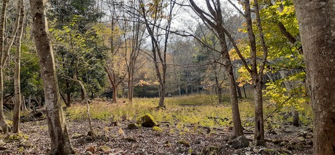 182-166(24-23)牧の原キャンプ場2回目1112_134649