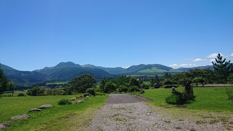 114-99(13-13)九重山麓風の丘 485