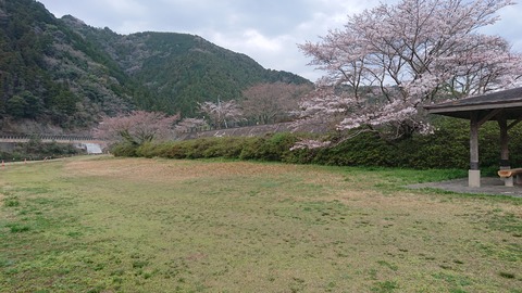 91,92-77,78(46,47-41,42)阿武川河川公園146