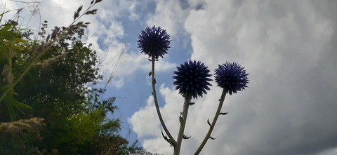 228-211(17-16)泉水キャンプ村909_120825