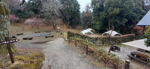 143-128(42-42)大野城いこいの森19_131134