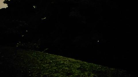 104-89(3-3)八木山渓流公園494