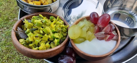 208-192(50-49)奥霧島御池キャンプ村502_172036