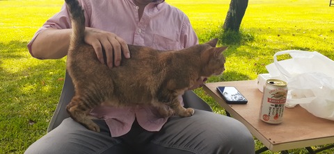 229-212(18-17)竹原牧場916_135809