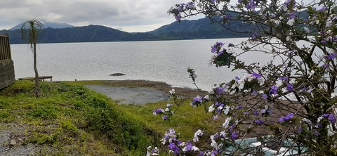 256-237(45-42)指宿レイクグリーン427_161726