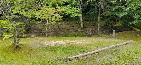 216-200(5-5)山鳥の森623_132357