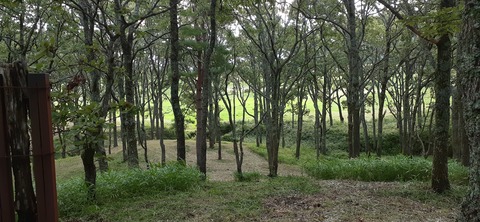 172-157(14-14)くじゅう自然動物園904_062326