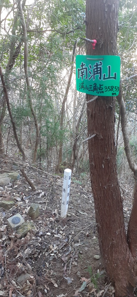 251-232(40-37)大坂山障子ヶ岳218_101254