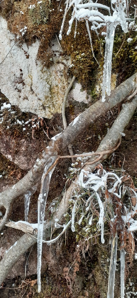 250-231(39-36)RECAMP志高湖 由布岳211_075009