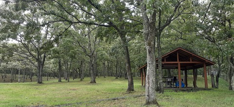 172-157(14-14)くじゅう自然動物園903_112420