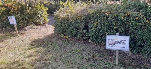 237-220(26-25)るるパーク1111_122313