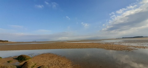 198-182(40-39)キワラビーチ225_163023