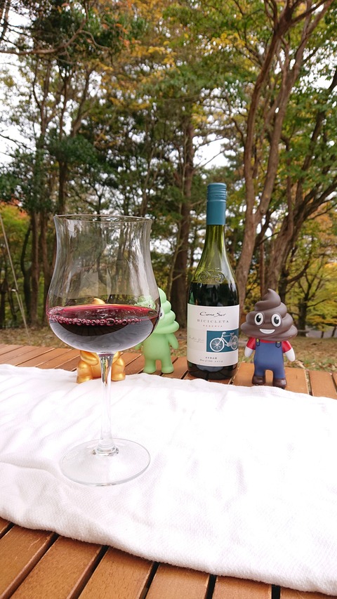 124-109(23-23)英彦山野営場151