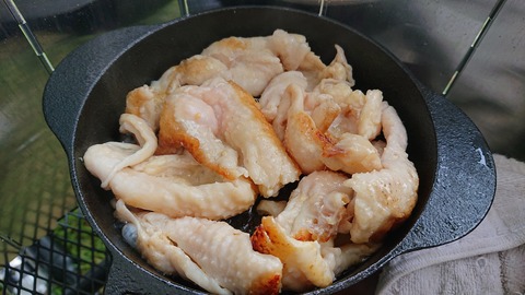 59-48(14-12)瀬の本高原オートキャンプ場466S