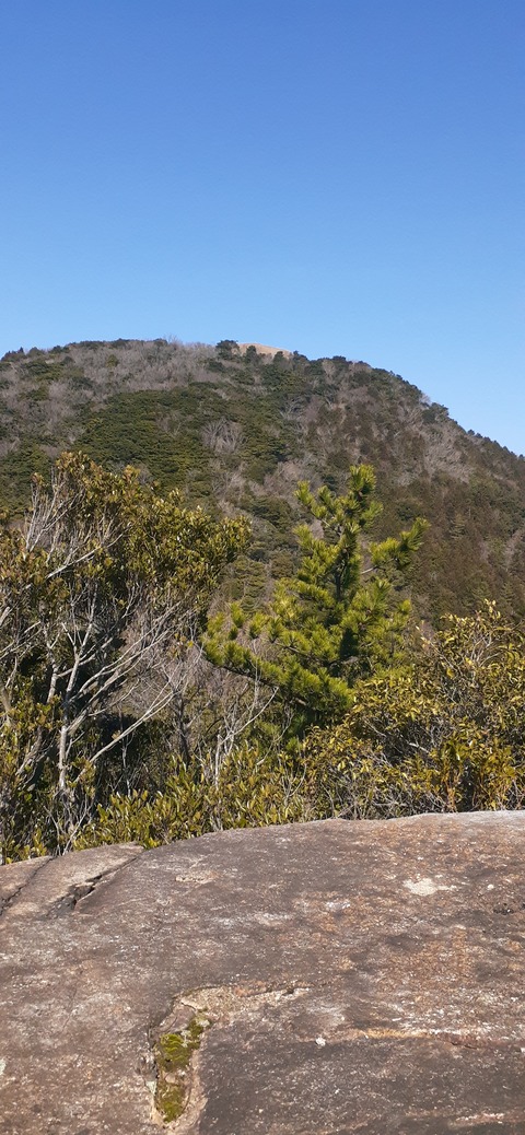 251-232(40-37)大坂山障子ヶ岳218_114253