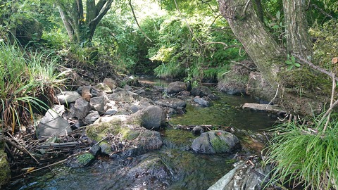 110-95(9-9)高原の里69S