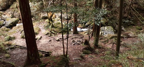 202-186(44-43)八木山渓流公園325_104937