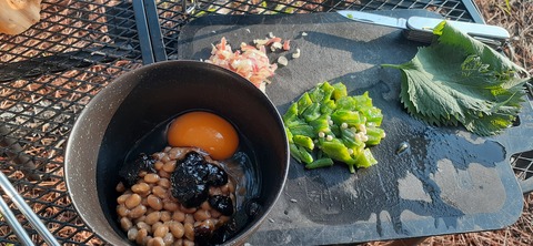 161-146(3-3)来浦キャンプ場612_061613