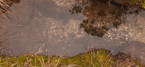 260-241(49-46)宮之浦岳淀川小屋501_152109