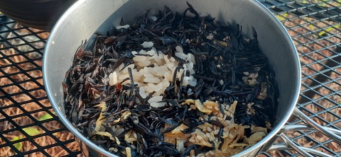 161-146(3-3)来浦キャンプ場612_062109