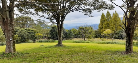 177-162(19-19)HGP南阿蘇OSCAMP1009_123615