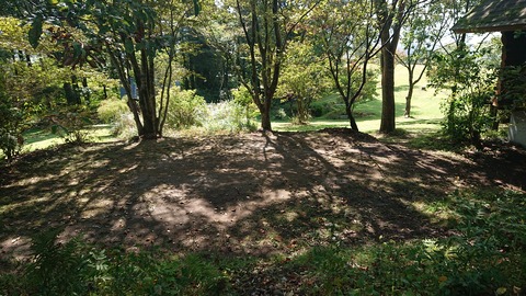 121-106(20-20)九重山麓風の丘600