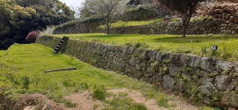 149-134(48-48)橘香園2_122406