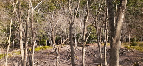 252-233(41-38)牧の原キャンプ場④309_150456