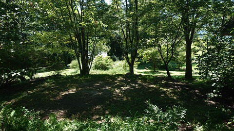 114-99(13-13)九重山麓風の丘 483