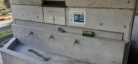 234-217(23-22)広川原キャンプ場1028_132353