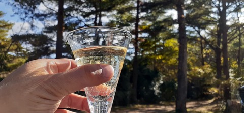 179-163(21-20)ゴンドーシャロレー7泊目1029_150423