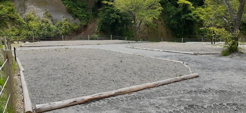 216-200(5-5)山鳥の森623_131230