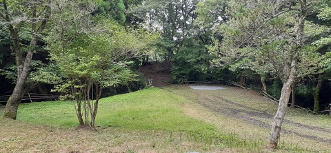 168-153(10-10)阿蘇ファンタジーの森806_122245