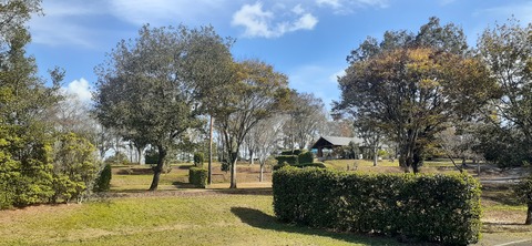 237-220(26-25)るるパーク1111_122058