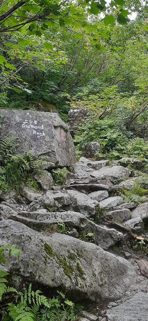 272-252(9-8) 上高地穂高岳814_101619