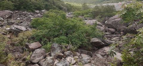 273-253(10-9) 上高地穂高岳815_063544
