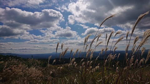 122-107(21-21)阿蘇レインボーバレー767