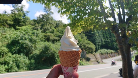 58-47(13-11)スパージュ368S