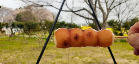 254-235(43-40)長崎鼻リゾート②330_145204