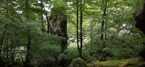 168-153(10-10)英彦山登山731_150840