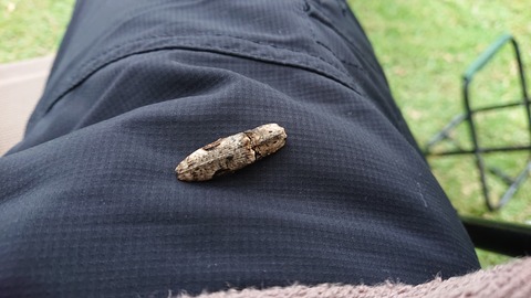 Dキャンプ 菊川自然活用村34