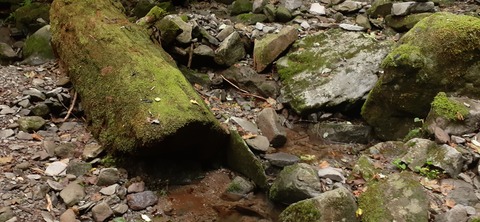 227-210(16-15)スノーピーク奥日田902_133343