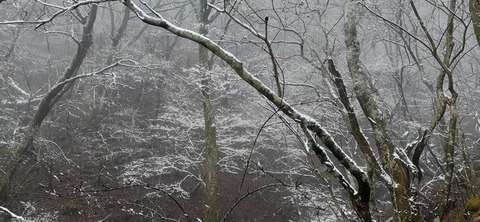 251-232(40-37)法華院温泉山荘2泊目224_143522