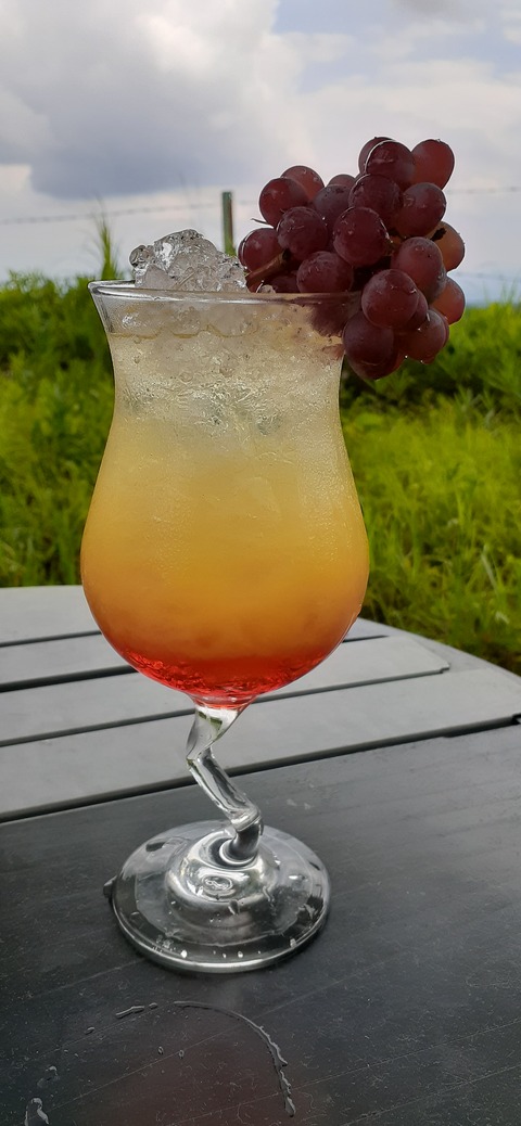 167-152(9-9)久住星群れキャンプ場723_140731