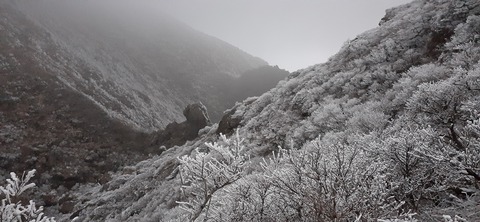 250-231(39-36)RECAMP志高湖 由布岳211_064942