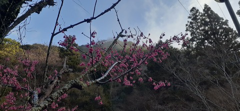 147-132(46-46)桂木山麓白糸の滝20_081130