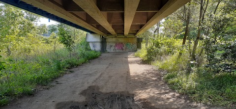 207-191(49-48)津志田河川公園乙女河原501_153318