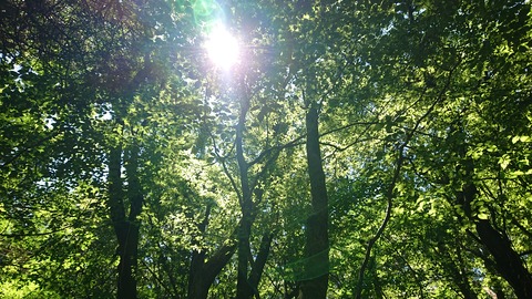 114-99(13-13)9.BASE 490