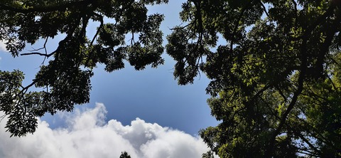 168-153(10-10)阿蘇ファンタジーの森806_122434