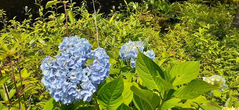 164-149(6-6)長野山緑地公園702_133600